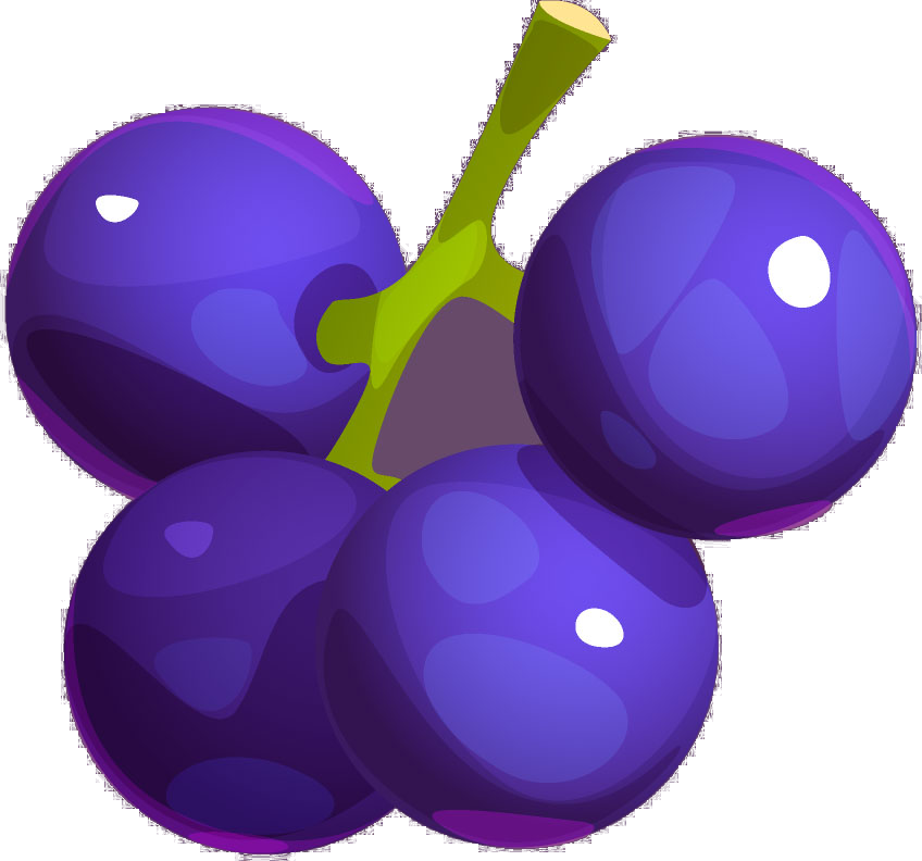 Fruit undefined